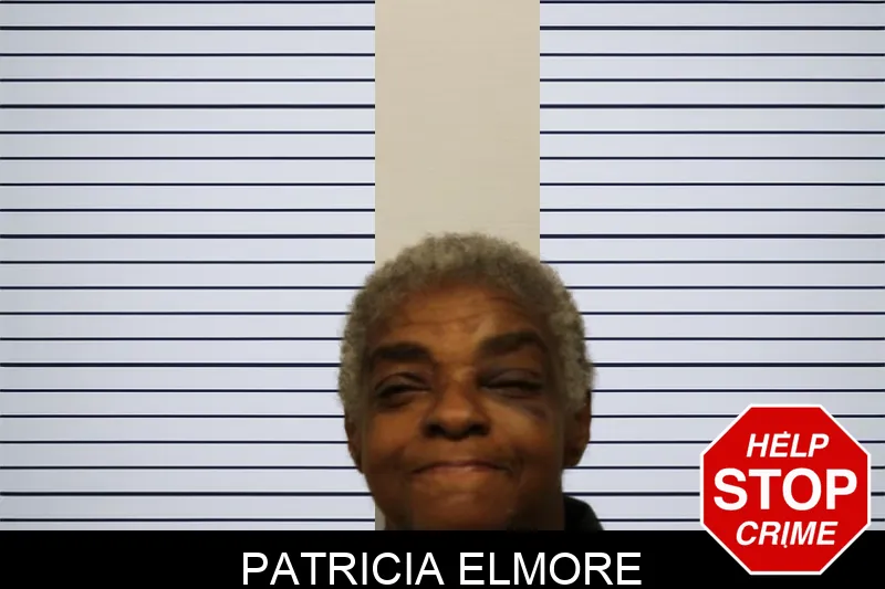 Patricia Elmore mugshot – Chatham County , Georgia Patricia Elmore mugshot