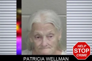 Patricia Wellman mugshot