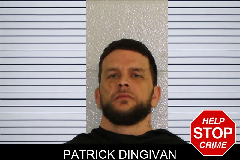 Patrick Dingivan Mugshots