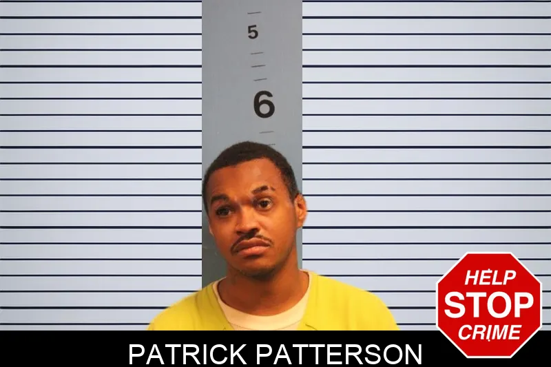 Patrick Patterson Mugshots