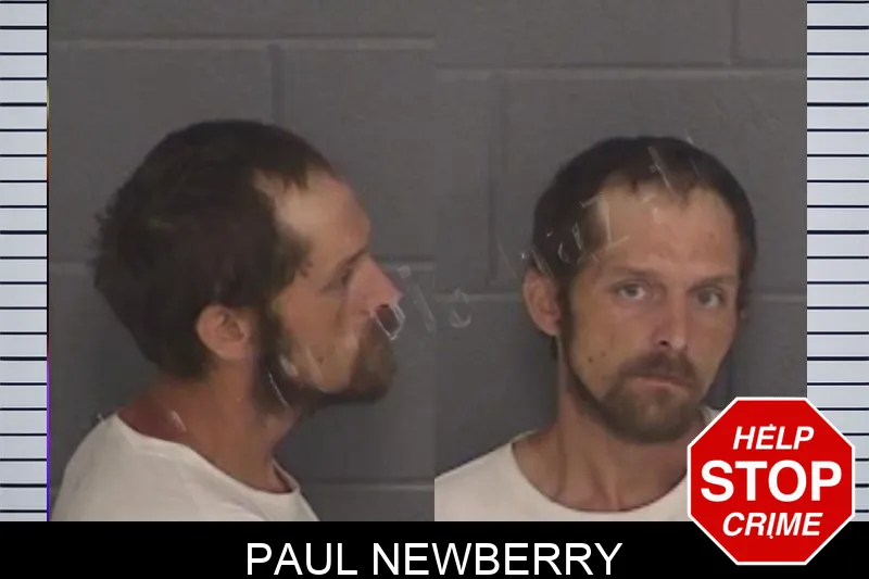 Paul Newberry Mugshots