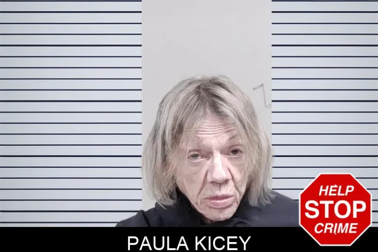 Paula Kicey mugshot – Lowndes County , Georgia Paula Kicey