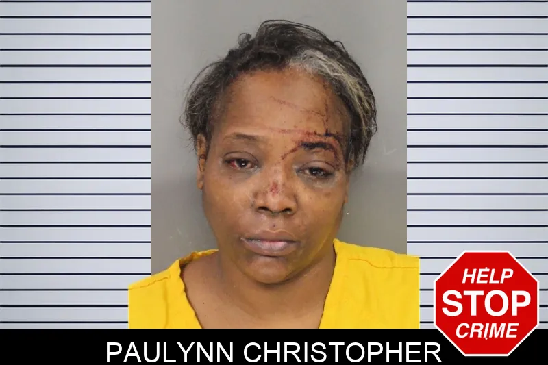 Paulynn Christopher mugshot – Cobb County , Georgia Paulynn Christopher mugshot