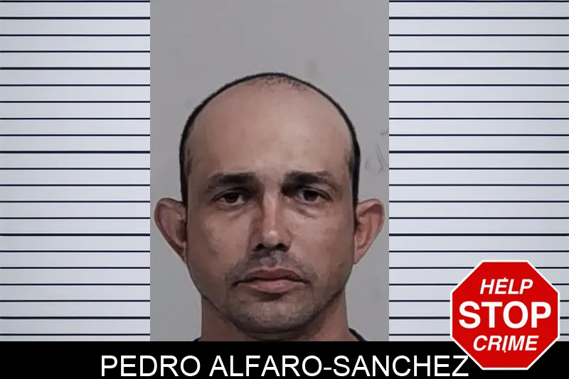 Pedro Alfaro-Sanchez Mugshots