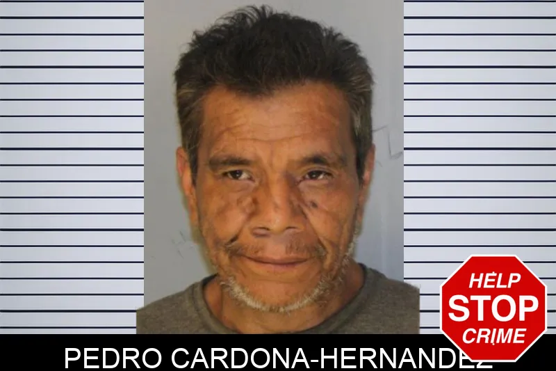 Pedro Cardona-Hernandez