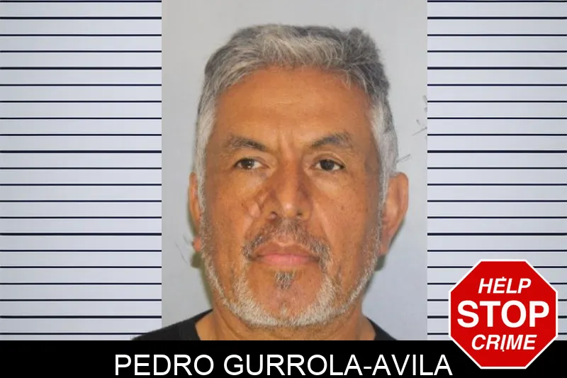 Pedro Gurrola-Avila
