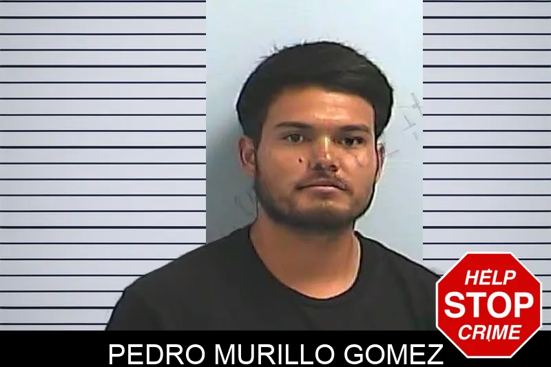 Pedro Murillo Gomez Mugshots