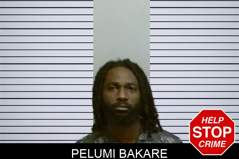 Pelumi Bakare mugshot