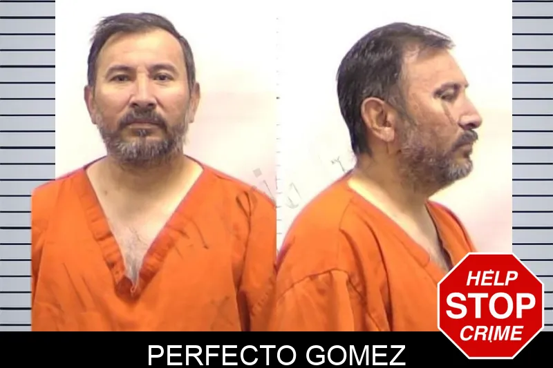 Perfecto Gomez Mugshots