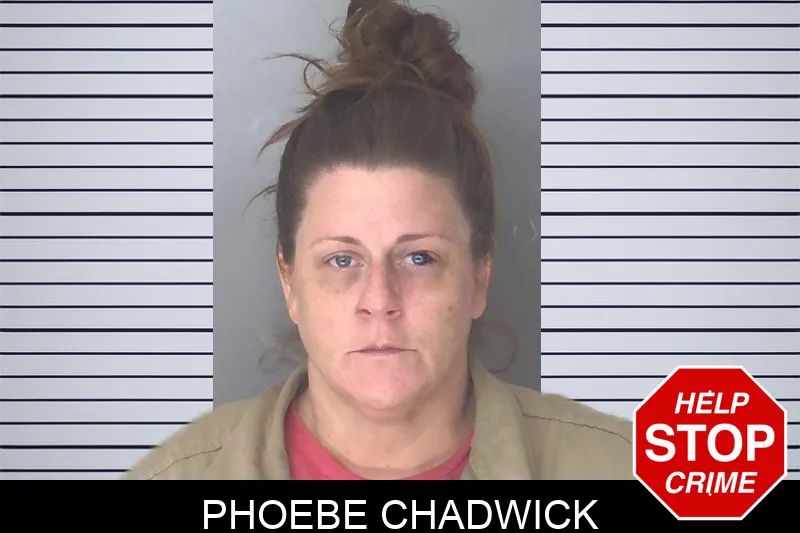 Phoebe Chadwick Mugshots