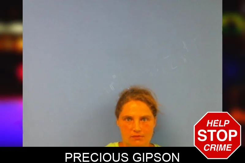 Precious Gipson mugshot
