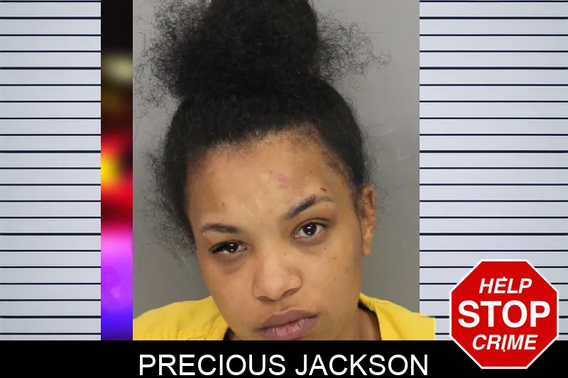 Precious Jackson mugshot – Cobb County , Georgia Precious Jackson mugshot
