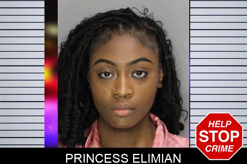 Princess Elimian mugshot – Cobb County , Georgia Princess Elimian mugshot