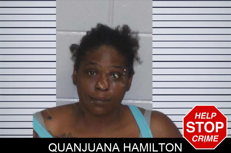 Quanjuana Hamilton mugshot
