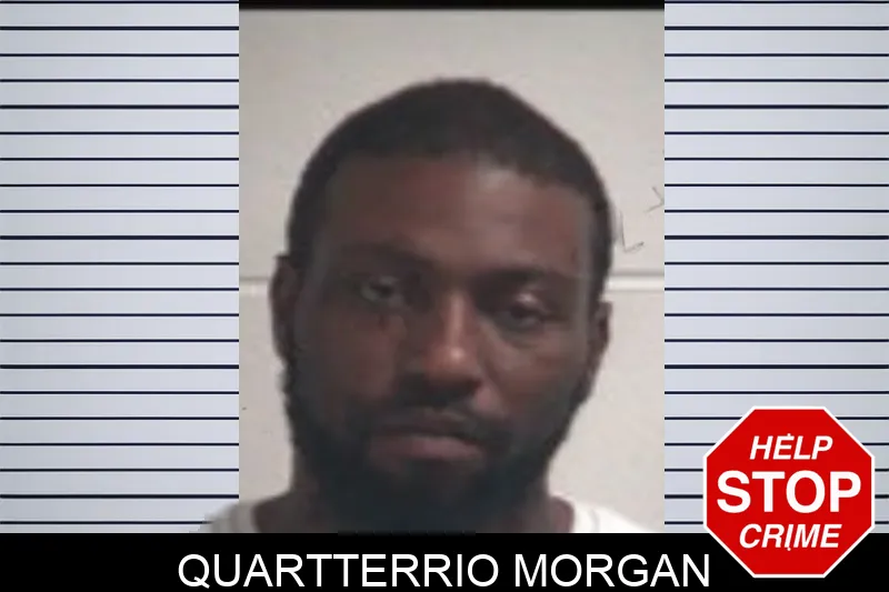 Quartterrio Morgan