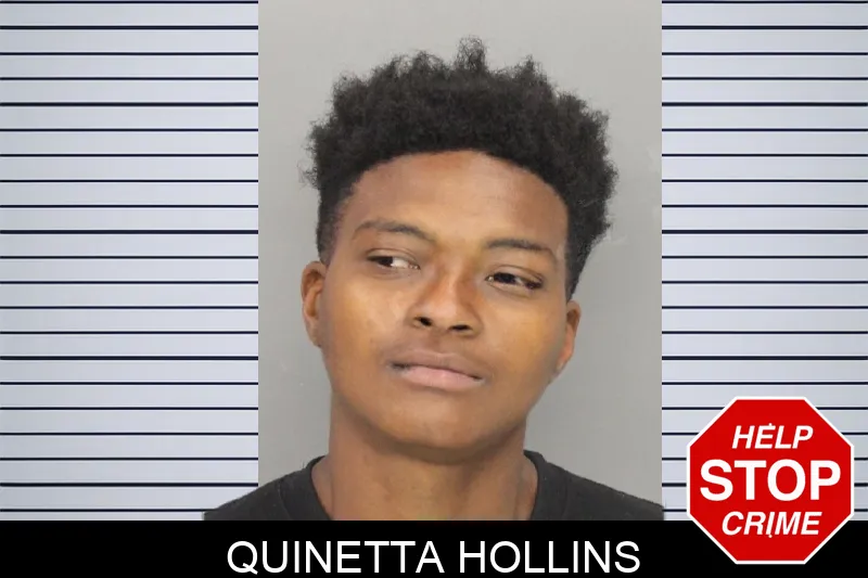 Quinetta Hollins mugshot