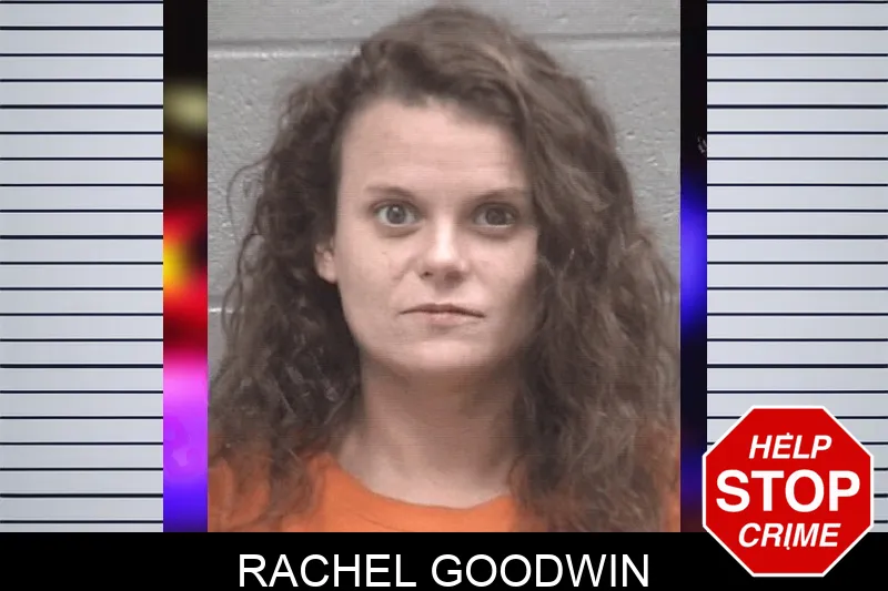 Rachel Goodwin Mugshots