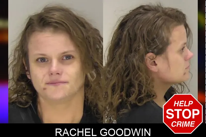 Rachel Goodwin Mugshots