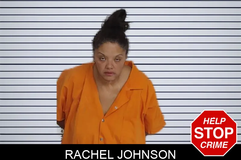 Rachel Johnson Mugshots