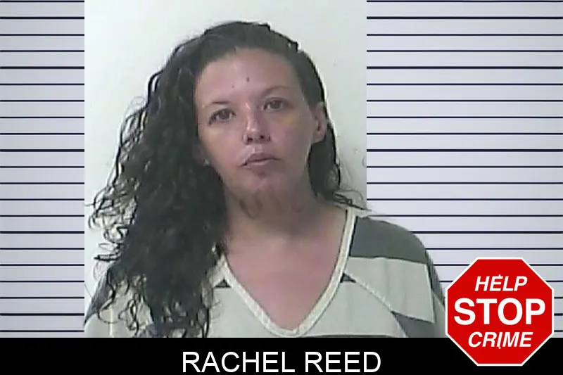 Rachel Reed Mugshots