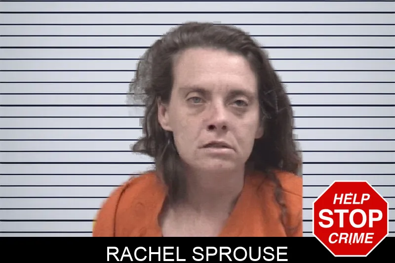 Rachel Sprouse Mugshots