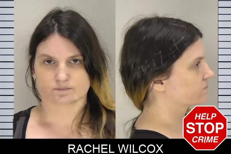 Rachel Wilcox mugshot