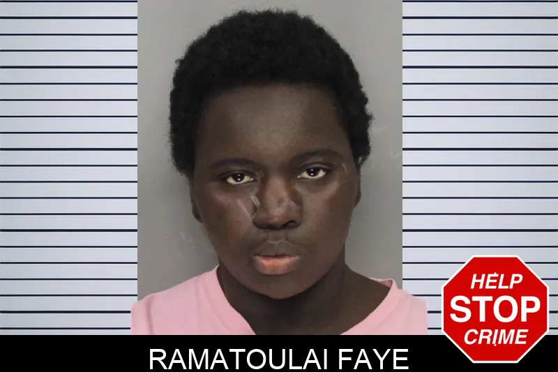 Ramatoulai Faye mugshot – Cobb County , Georgia Ramatoulai Faye mugshot