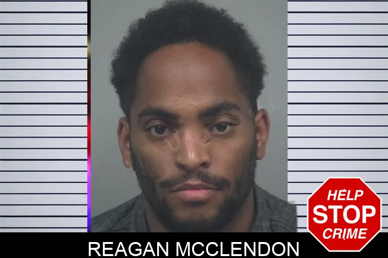Reagan McClendon mugshot
