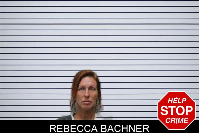 Rebecca Bachner