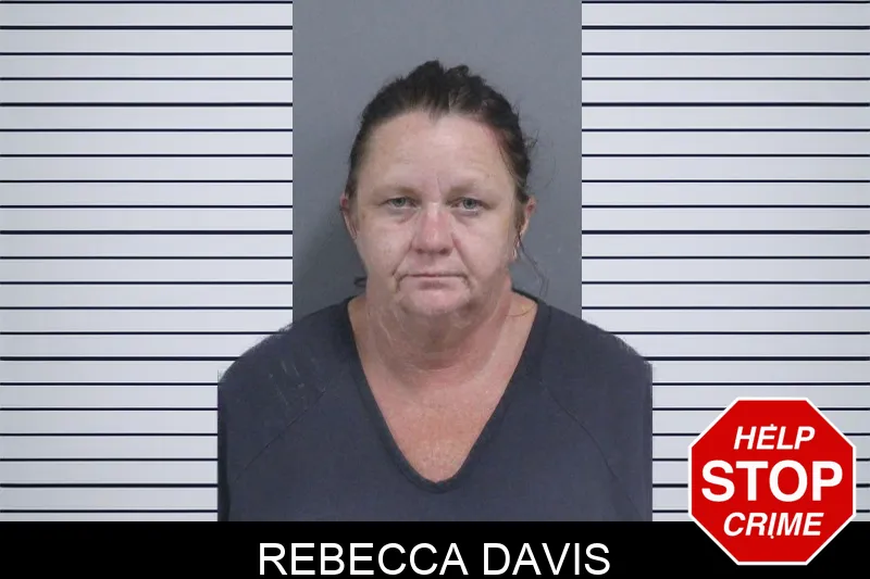 Rebecca Davis Mugshots