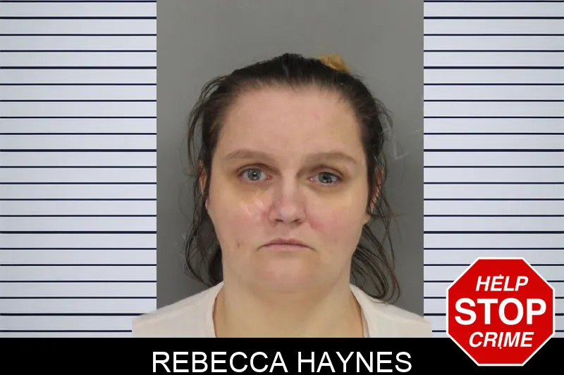 Rebecca Haynes Mugshots