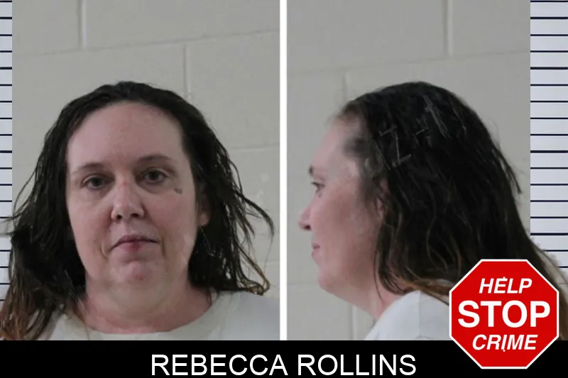 Rebecca Rollins Mugshots