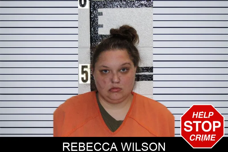 Rebecca Wilson mugshot