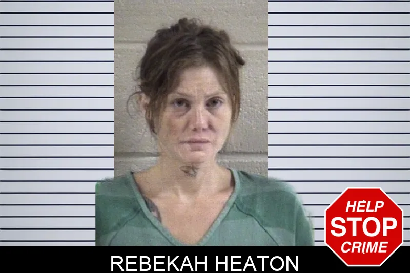 Rebekah Heaton Mugshots