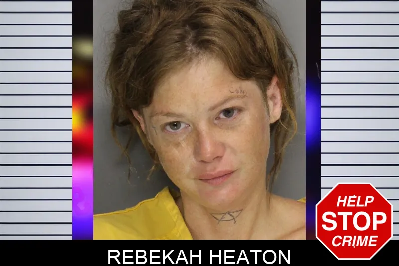 Rebekah Heaton Mugshots