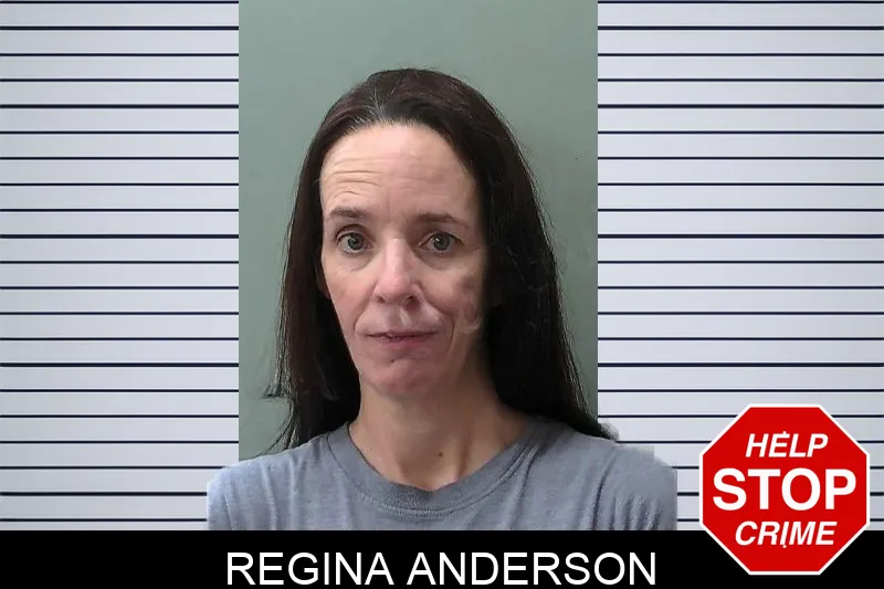 Regina Anderson Mugshots