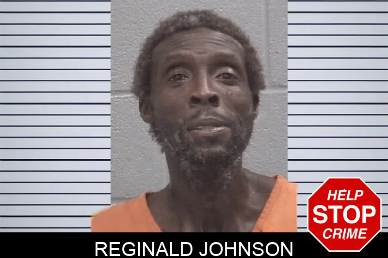 Reginald Johnson Mugshots