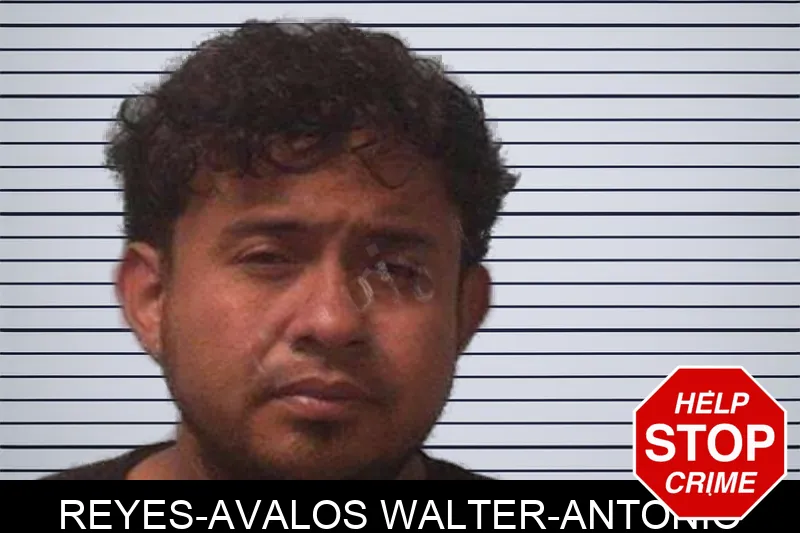 Reyes-Avalos Walter-Antonio Mugshots