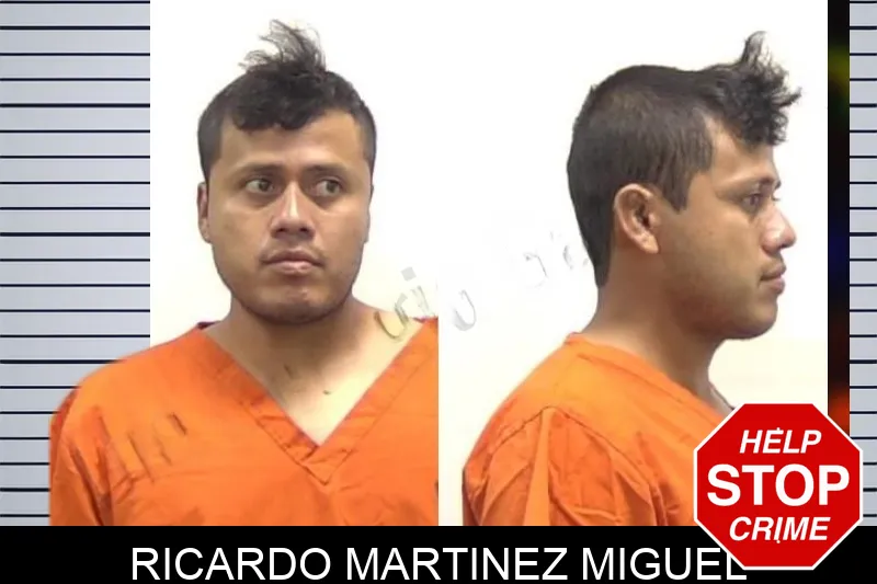 Ricardo Martinez Miguel Mugshots