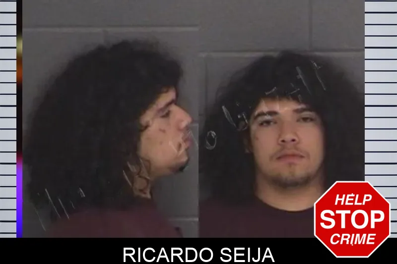 Ricardo Seija Mugshots