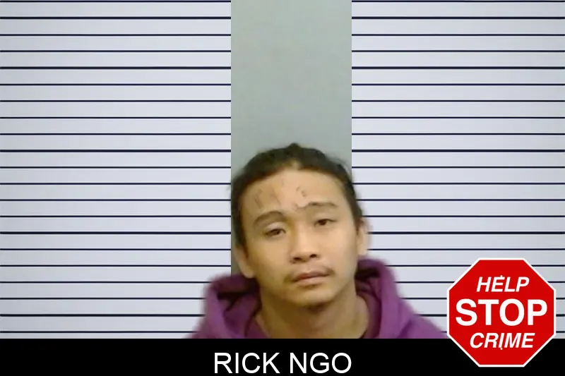 Rick Ngo mugshot – Fulton County , Georgia Rick Ngo mugshot
