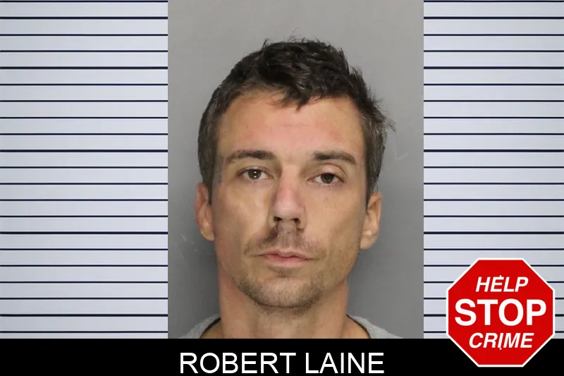 Robert Laine Mugshots