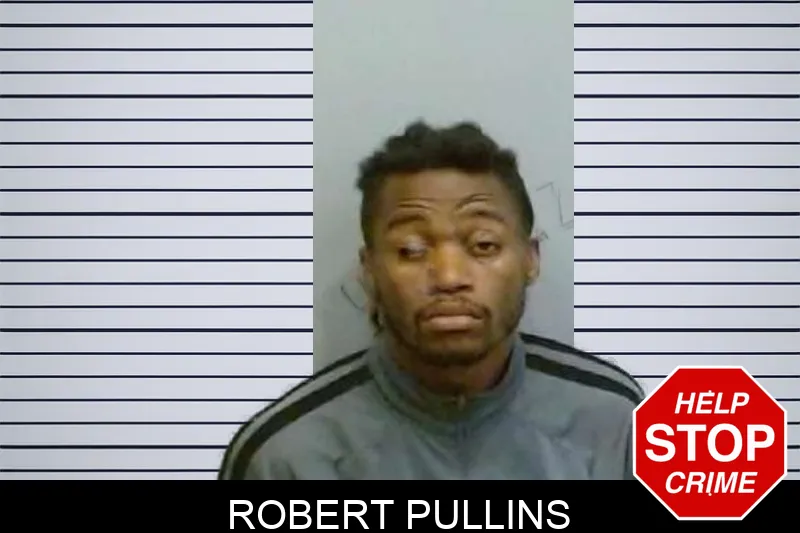 Robert Pullins mugshot