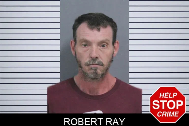 Robert Ray