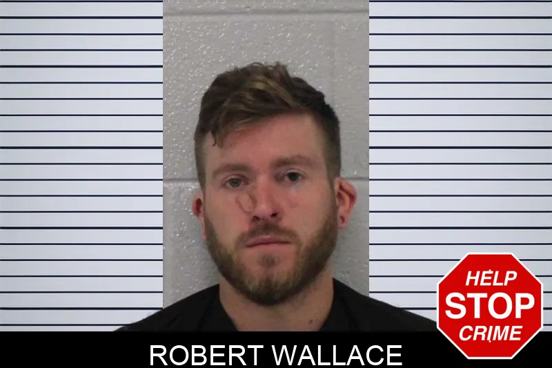Robert Wallace mugshot