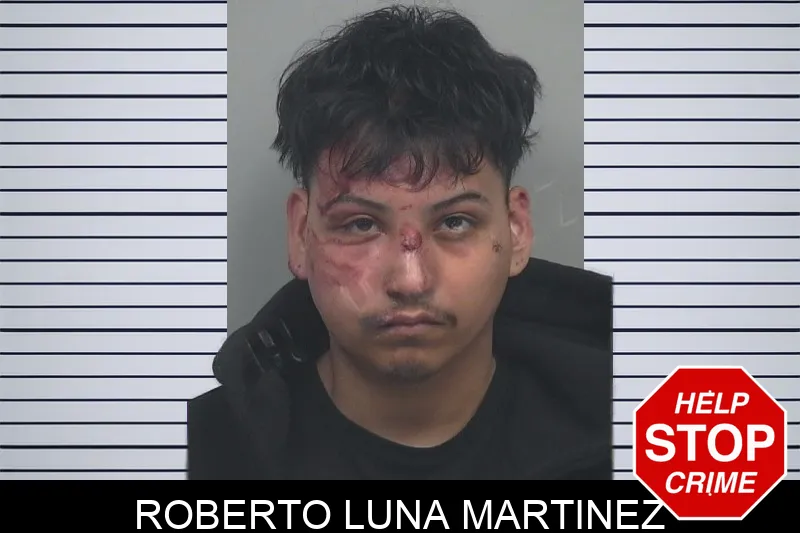 Roberto Luna Martinez mugshot