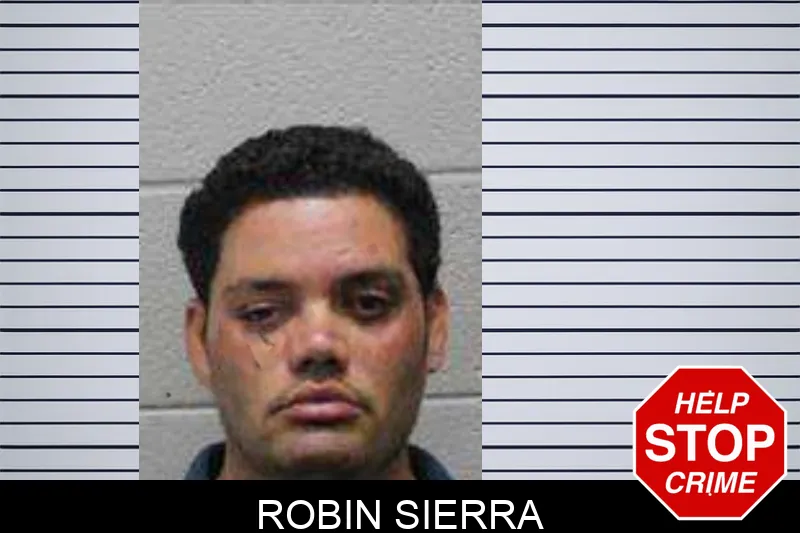Robin Sierra Mugshots