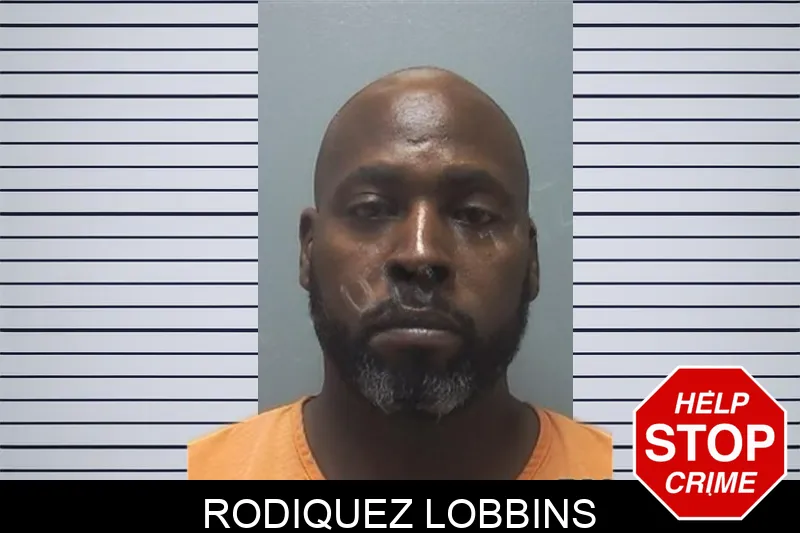Rodiquez Lobbins mugshot – Cherokee County , Georgia Rodiquez Lobbins mugshot