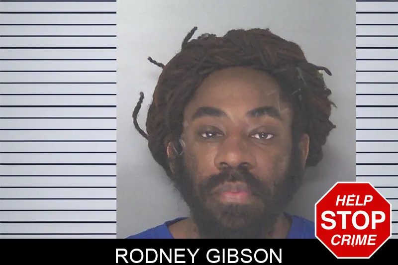 Rodney Gibson mugshot