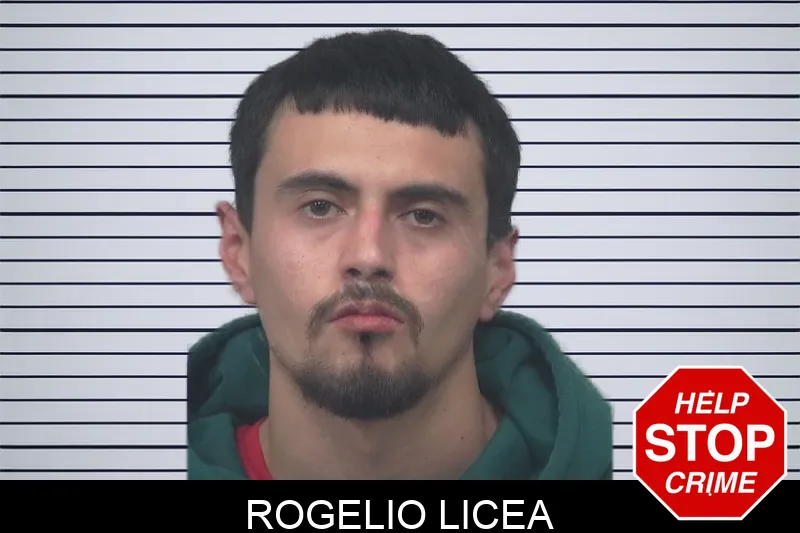 Rogelio Licea Mugshots